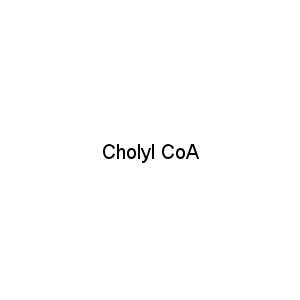 Cholyl CoA
